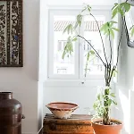 Alfama Terrace River And Historic View Spacious And Charming Ground Floor 18th Century Building *