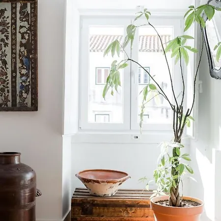 Alfama Terrace River And Historic View Spacious And Charming Ground Floor 18th Century Building *